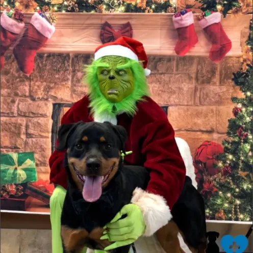 Duke with The Grinch at Hanover Park Animal Care Center
